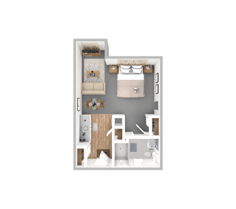 DSL_PSL_DMRD_Suite_PitchPine_393-404sqft_WEB